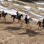 masalsı-görüntüler