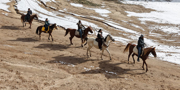 masalsı-görüntüler