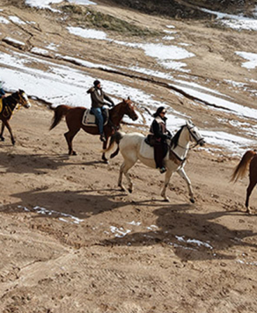 masalsı-görüntüler