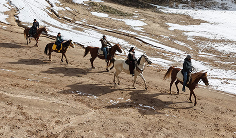 masalsı-görüntüler