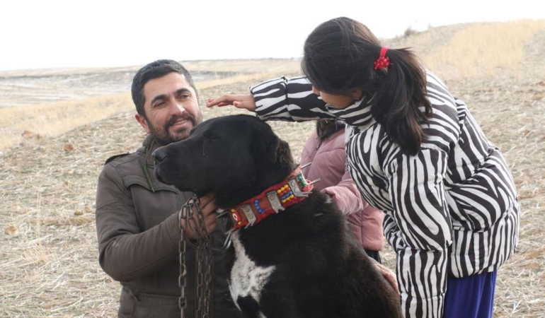 Ankara’nın siyah bekçileri: Haymana Karası