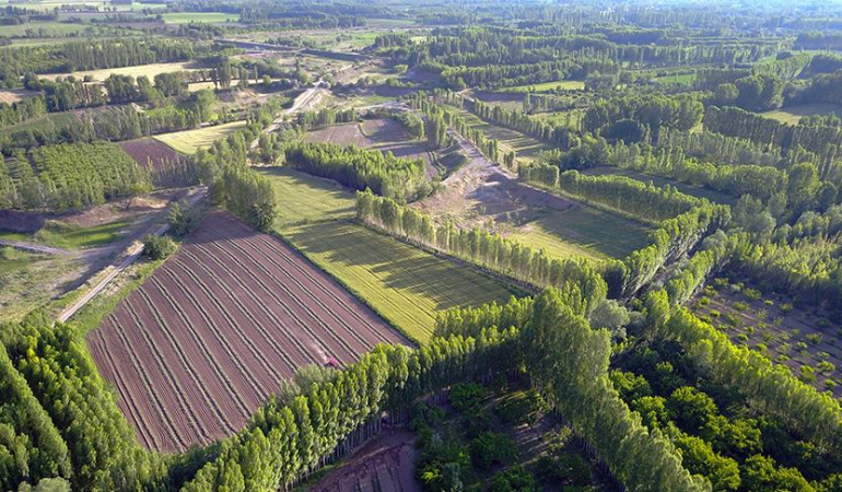 AK Parti’den 2B Dışındaki Araziler İçin Kanun Teklifi