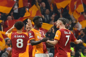 AVRUPA-ASLANI-KOMNUŞUYIR-2