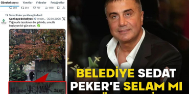 WhatsApp Image 2026-02-10 at 10.15.50