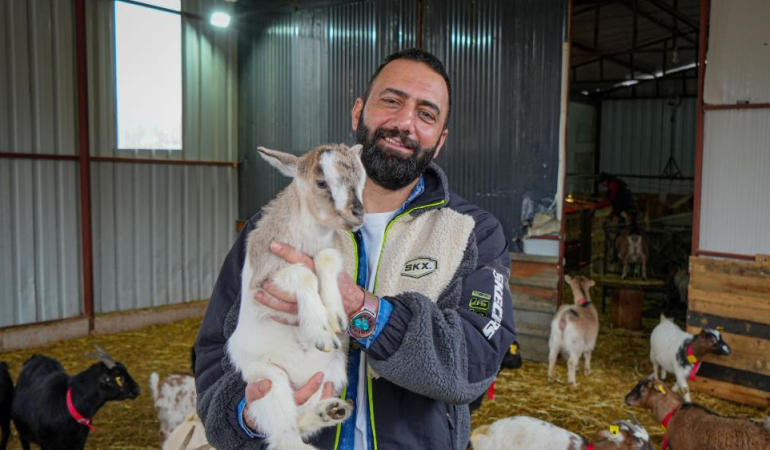 Ayaş’ın cüce keçileri