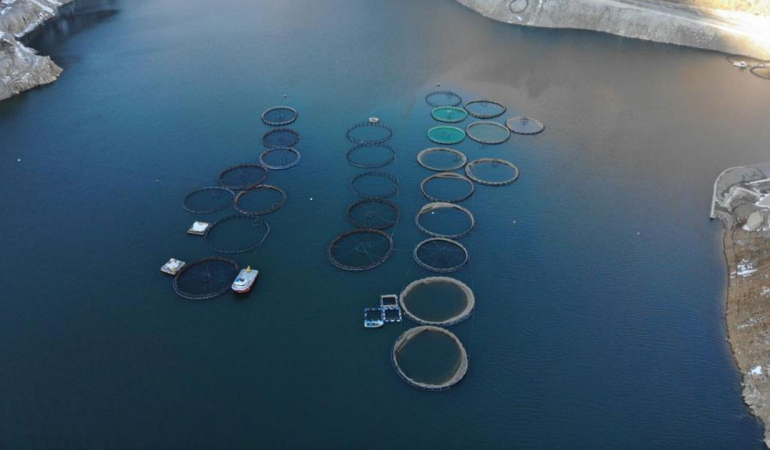 Denizi yok ama üretiyorlar!