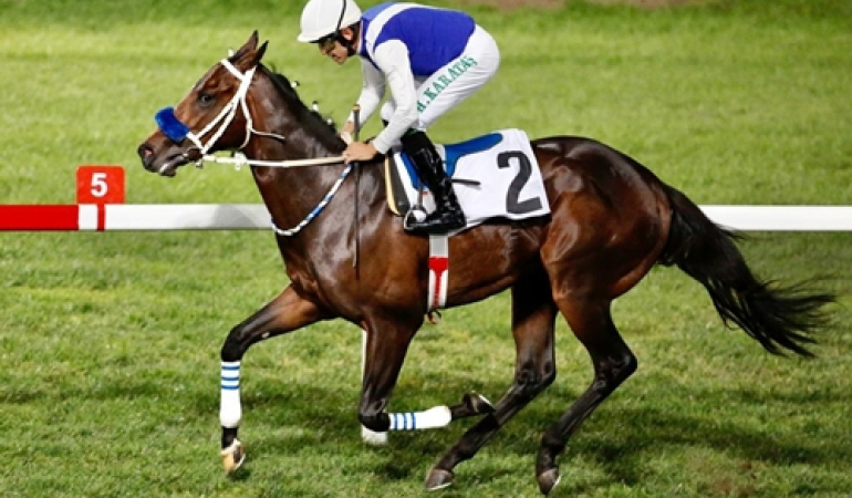 TİGEM’den kayıp at açıklaması: Kaybolmadılar, telef oldular