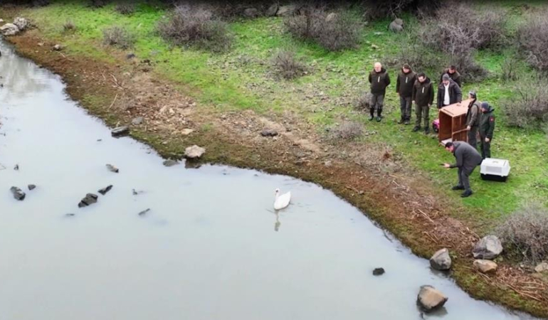 Edirne’de sağlığına kavuştu