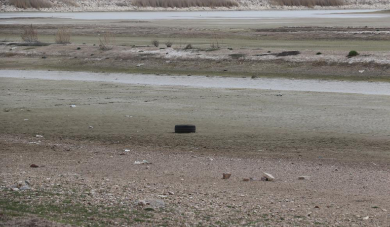 Kuraklık allı turnaların yuvasını vurdu