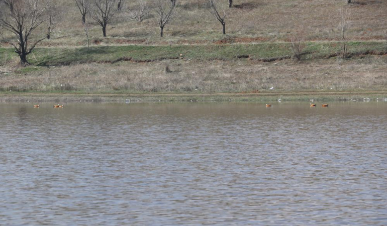Kuruyan Kızılca Göleti yeniden doldu