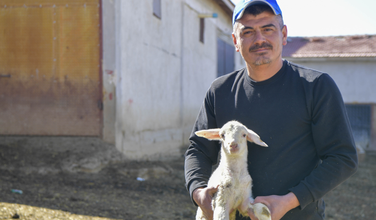 Veteriner Hekimliği Hizmet Projesi