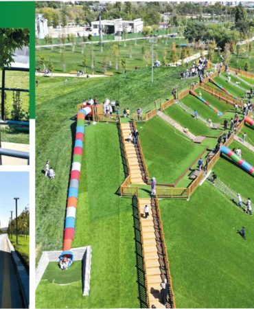 Başkent'te Yeşilin Hikayesi
