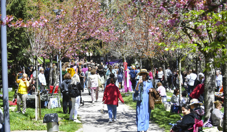 Başkentli kadınlar Sakura Şenliği’nde buluştu