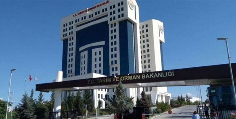 Yapay et tartışmasına net yanıt